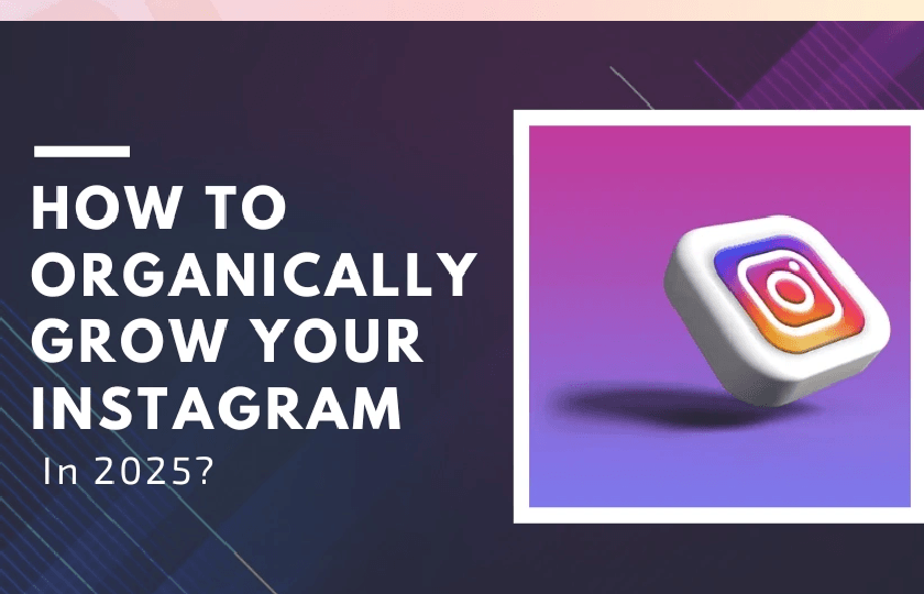 New Project 76 - How to Grow Your Instagram Followers Organically: A Step-by-Step Guide Overview by RED PUMA Advertising Agency on June 21, 2025 Social-Media-Campaign - Instagram Analysis | Red Puma Advertising Agency Creative Marketing Solutions