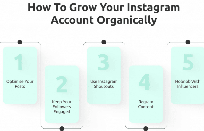 New Project 77 - How to Grow Your Instagram Followers Organically: A Step-by-Step Guide Overview by RED PUMA Advertising Agency on June 21, 2025 Social-Media-Campaign - Instagram Analysis | Red Puma Advertising Agency Creative Marketing Solutions